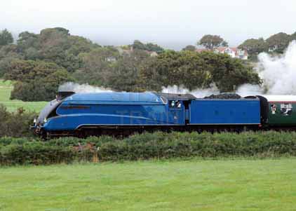 Purchase photo of 4492 DOMINION OF NEW ZEALAND (BITTERN) at Swanage Railway